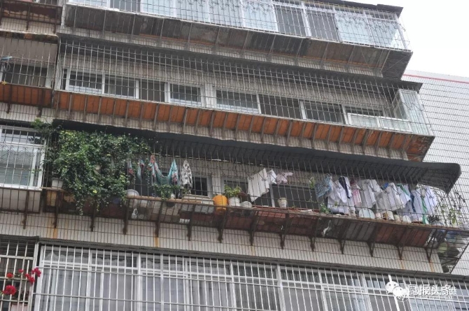 微信图片_20191119082237 微信图片_20191119082237