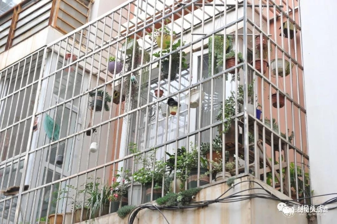 微信图片_20191119082314 微信图片_20191119082314