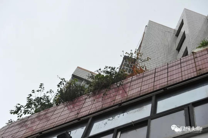 微信图片_20191119082334 微信图片_20191119082334