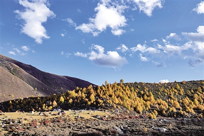 数字潮起 川蜀潮生 数字潮起 川蜀潮生