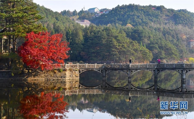 1125243144_15740378665181n4