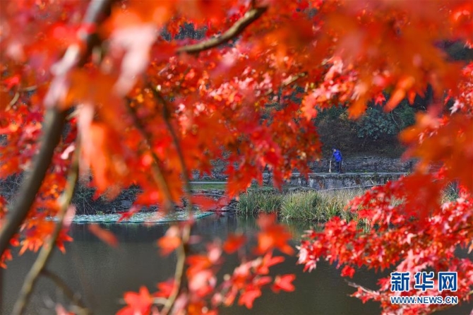 1125243144_15740378665961n6