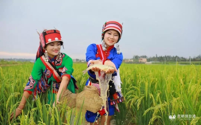 卷起衣袖,亲手摸 卷起衣袖,亲手摸