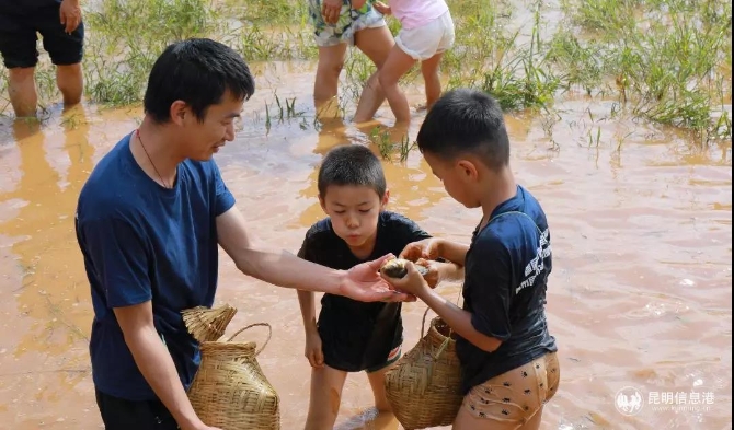 父子上阵齐摸鱼 父子上阵齐摸鱼