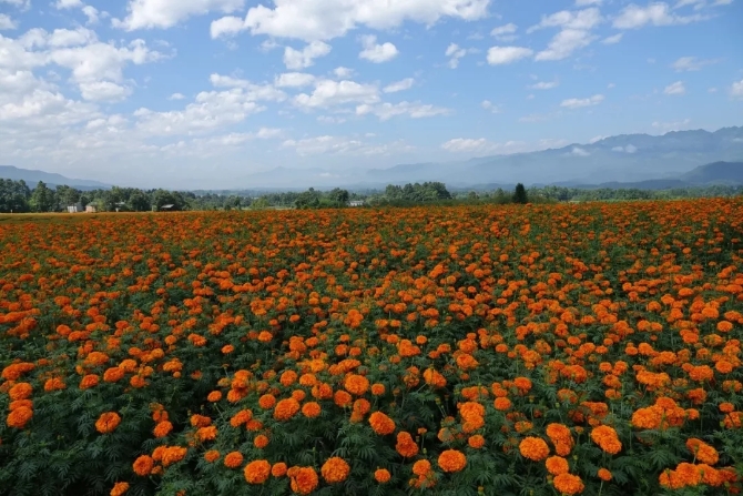 640.webp (10) 640.webp (10)