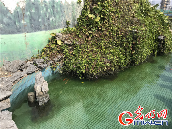 【美丽中国·网络媒体生态文明行】广西北海:滨海之都与水共“舞” 【美丽中国·网络媒体生态文明行】广西北海:滨海之都与水共“舞”