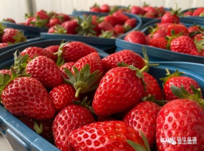 265609_670x670.jpg?1574824397902