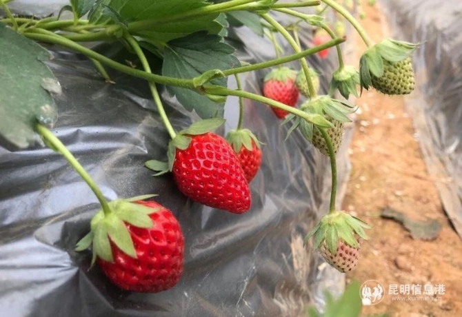 微信图片_20191127104539