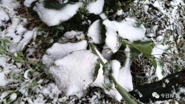 640.webp (8) 640.webp (8)