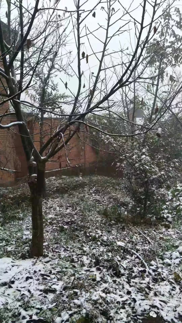 640.webp (10) 640.webp (10)