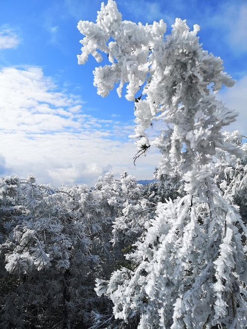 微信图片_20191205180908