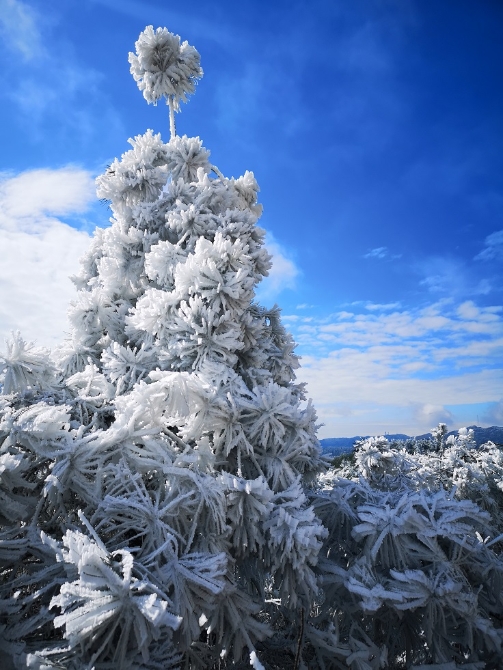 微信图片_20191205184044