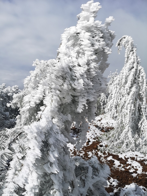 微信图片_20191205184117