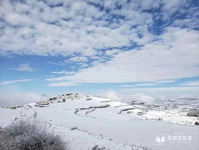 微信图片_20191206101059