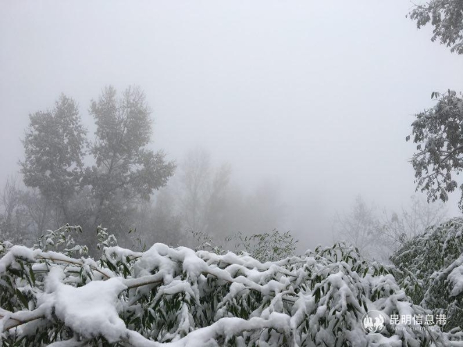 微信图片_201912061010591