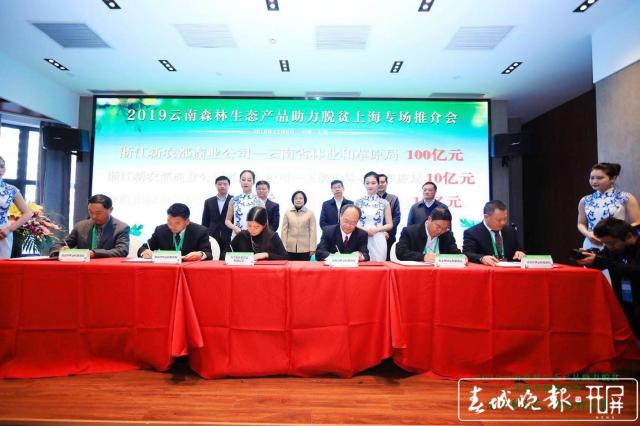 沪滇合作助力脱贫 云南森林生态产品亮相上海 (3).jpg
