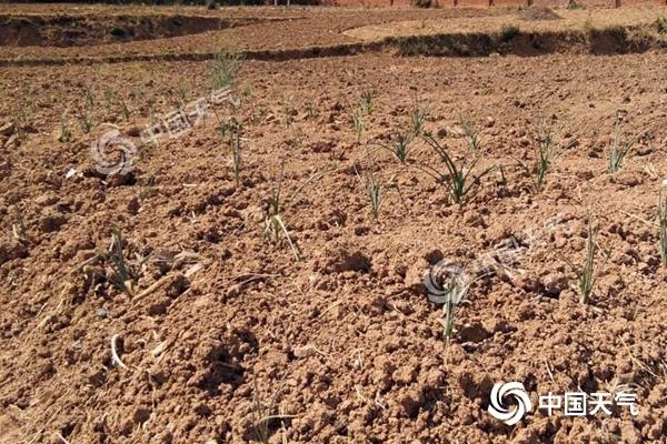 热炸了！云南高温频破纪录 何时才能熬出头？.jpeg