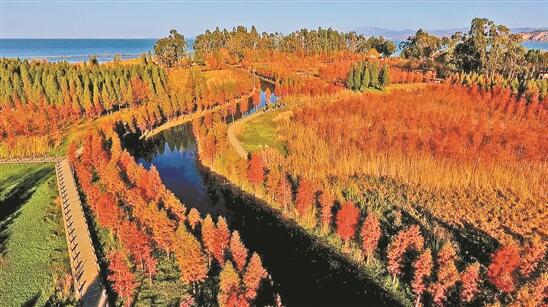 QQ截图20191210081200