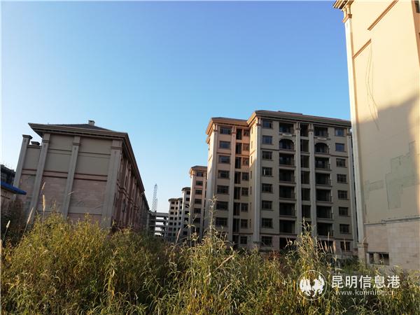 1400541202 1400541202