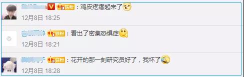 “寄生花”重现云南