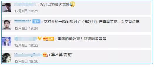 “寄生花”重现云南