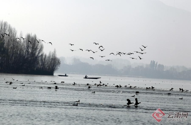 00301266496_9110be73