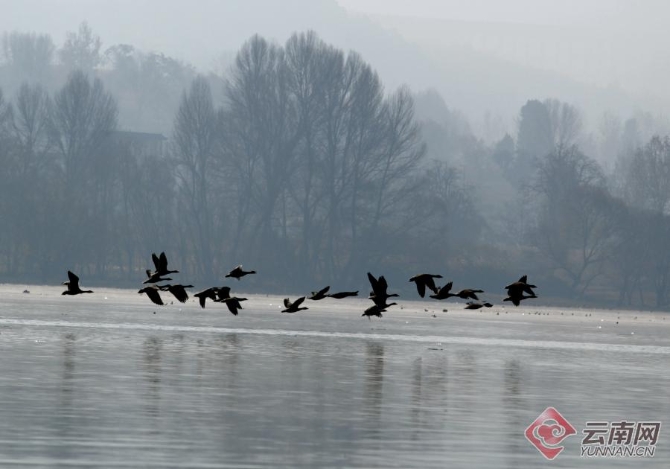 00301266498_6ce863ef