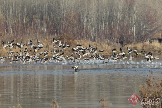 00301266502_0b7dce93