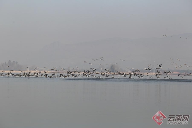 00301266504_e611d8fc