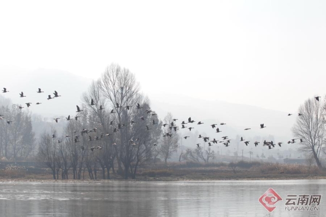 00301266505_48b5f490