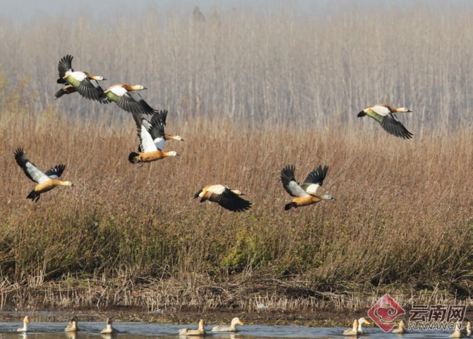 00301266503_dad17406