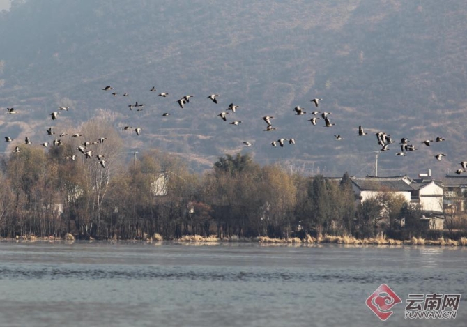 00301266500_d6f2d371