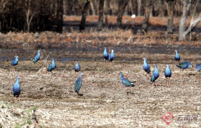 00301266501_c1160439