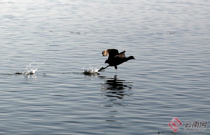 00301266495_3dc16fc7 (1)