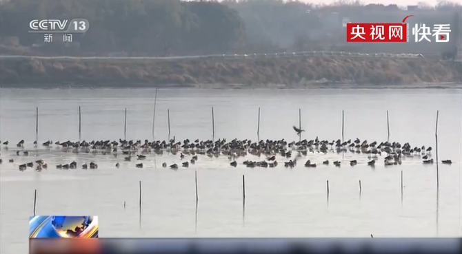 微信截图_20191213164430