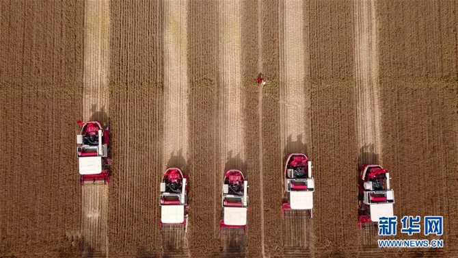 (新华全媒头条·图文互动)(3)新华社评论员:为夺取全面建成小康社会伟大胜利而奋斗——一论贯彻落实中央经济工作会议精神