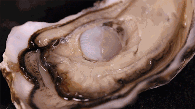 重磅！粤港澳大湾区再添黄金客运通道