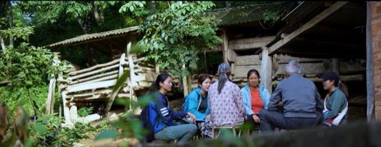 云南3名90后姑娘与大象“谈判”