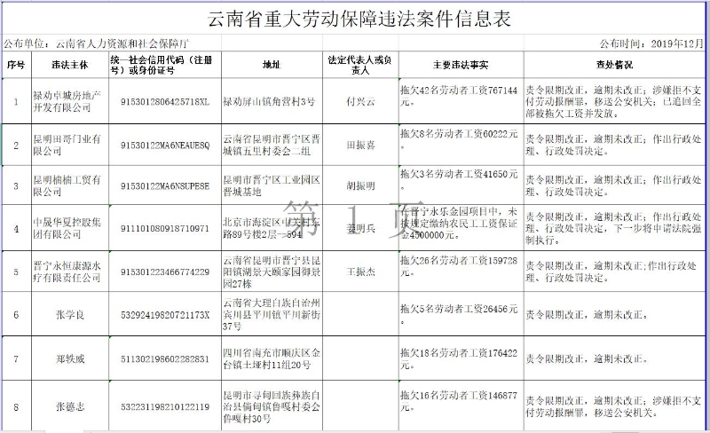 云南省重大劳动保障违法案件信息表