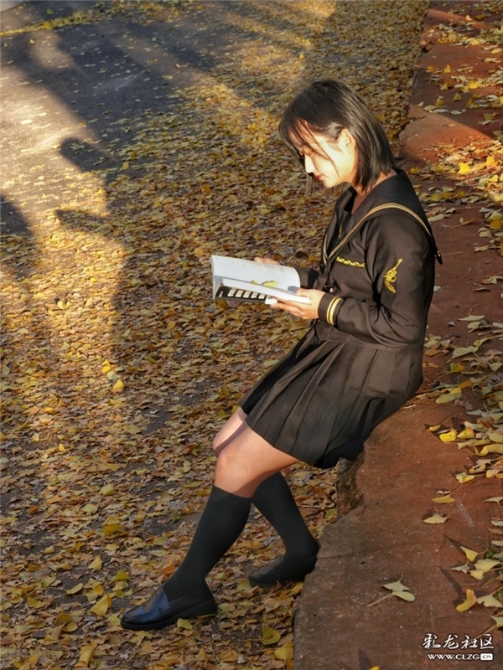 一名学生在云大银杏树下读书 彩龙社区网友云匀摄