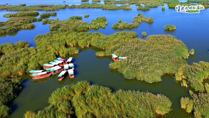 1576718774611_696 1576718774611_696