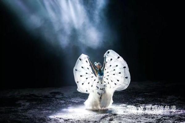 国际艺术文化舞剧《云南映象》 国际艺术文化舞剧《云南映象》