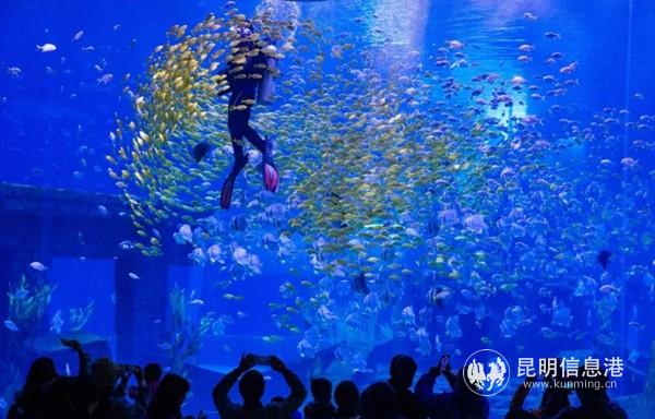 昆明融创海世界 昆明融创海世界