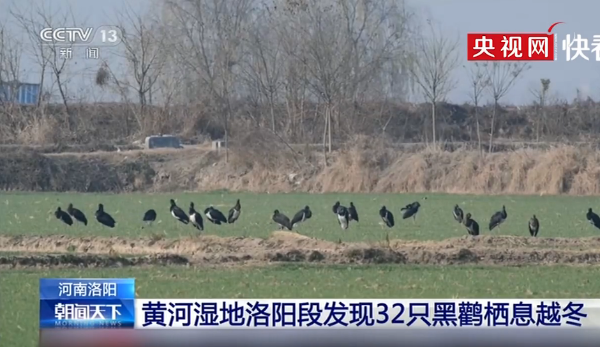 QQ截图20191222162016