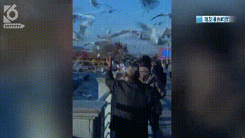 游客抓海鸥嬉戏拍照