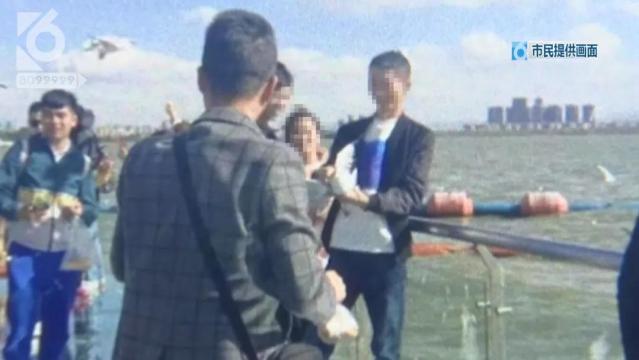 游客抓海鸥嬉戏拍照