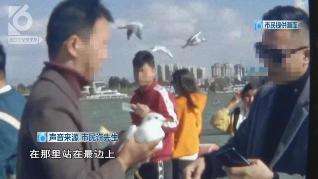 游客抓海鸥嬉戏拍照