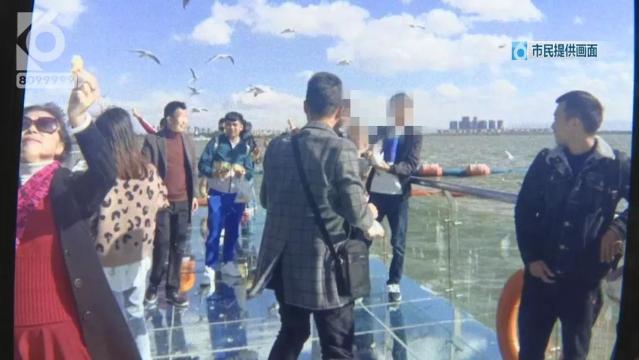 游客抓海鸥嬉戏拍照