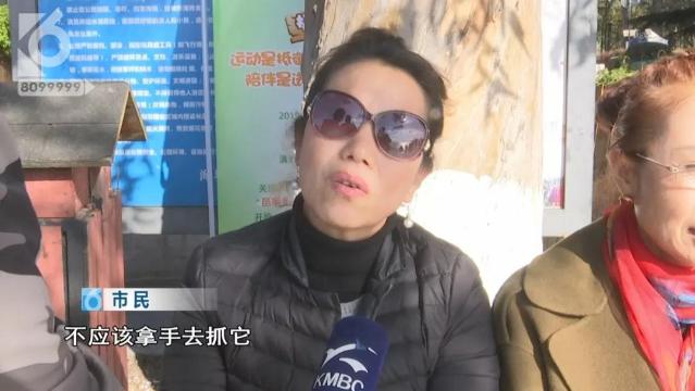 游客抓海鸥嬉戏拍照