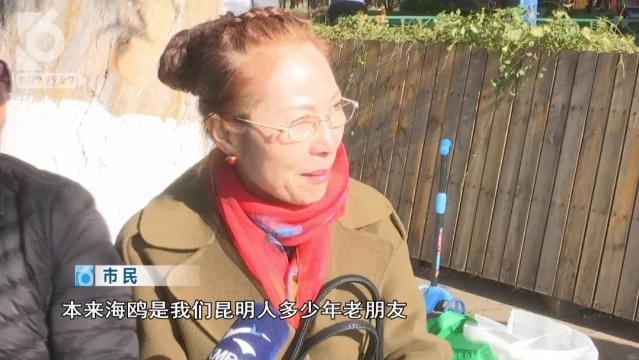 游客抓海鸥嬉戏拍照